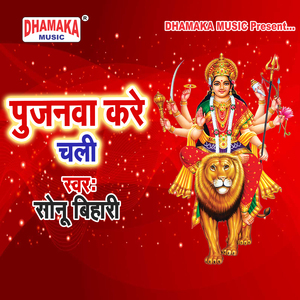 Pujanawa Kare Chali