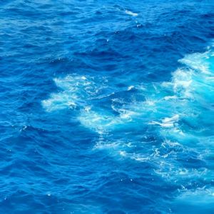 Dehors+你想去看看大海吗