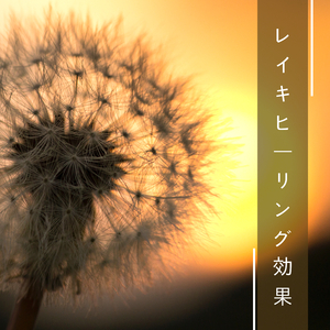 副交感神経 高める