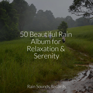 Sparkling Melodies Flowing Free