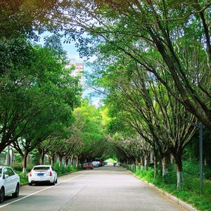 春(prod by.Morrow）