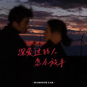 深爱过的人怎么放手 - R&B深情女版