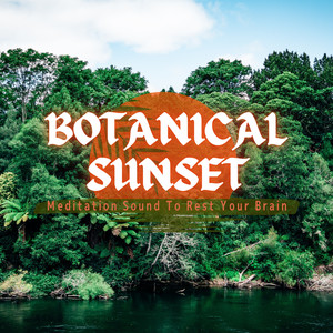 The Sunset on your Mind