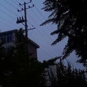 光