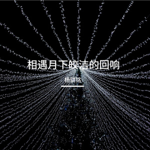 相遇月下皎洁的回响