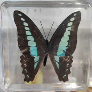 我曾1762036585526.wav