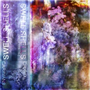 Swell Shells (Antipyretic)