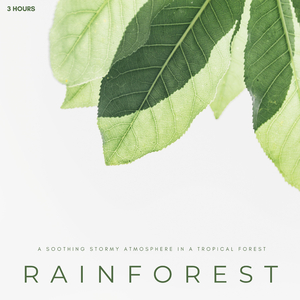 Rainforest: A Soothing Stormy Atmosphere In A Tropical Forest - 3 Hours