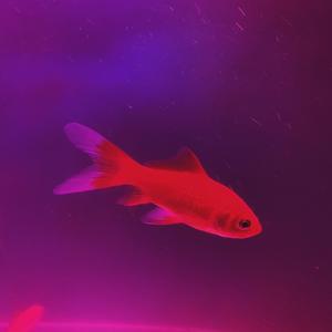 为你而怀念(慢速版)