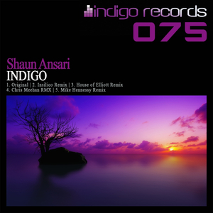Indigo (Mike Hennessy Remix)
