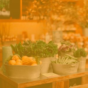 温和专卖店梦想