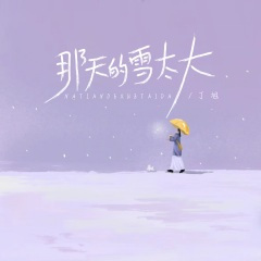 那天的雪太大 (0.8x)