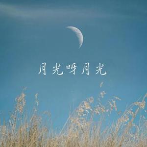 月光呀月光 庄东茹