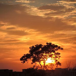 《弦乐铺陈的奢华格调》022