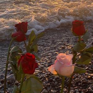 沉溺(你让我的心不再结冰)