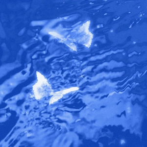 真心话就是大冒险