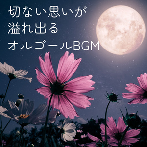 月の夜の物語-静けさの宵-