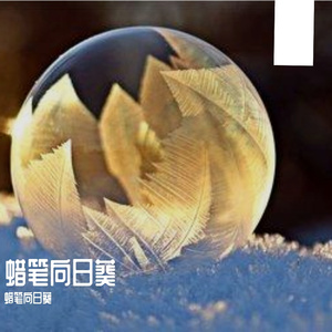 默默努力惊艳时光的乐章