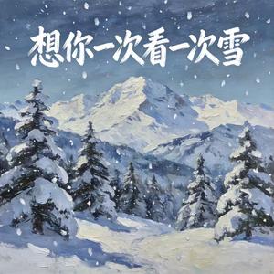 想你一次看一次雪