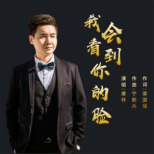 我会看到你的脸