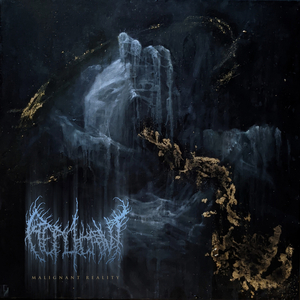 Excess Womb
