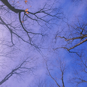 모르는 사람처럼