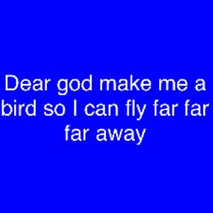 Dear God Make Me a Bird