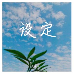 设定