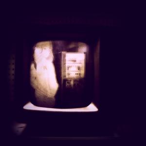 Future Thing (L O V E)