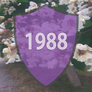 Bomb For Ibiza (21 ROOM Remix)