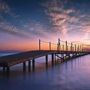 谁的生活不是鸡零狗碎-