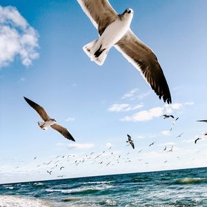 新赛季(Prod EVOMUSIC)