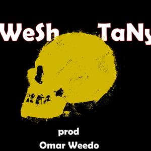 Wesh Tany