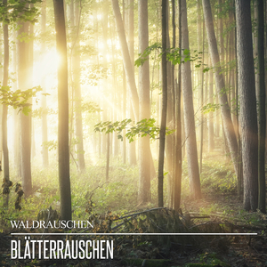 Sanftes Rascheln der Baumblätter