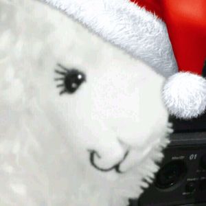 考后复健摸鱼（纯音乐）