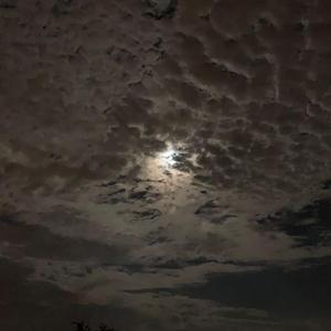 现实（Prod.T.F.G）