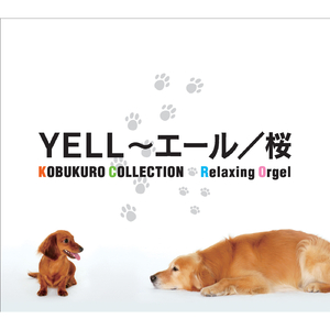 未来への帰り道 (Originally performed by コブクロ)