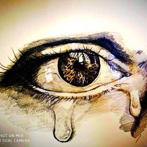 Where The Trees Meet The Free Way