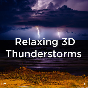 호우 잠