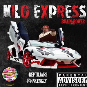 Reptilians (feat. Skengzy)