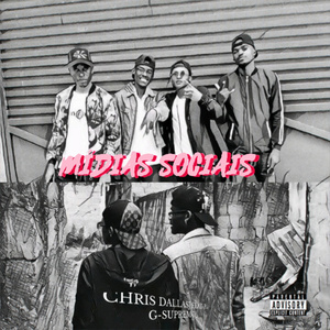 MÍDIAS SOCIAIS