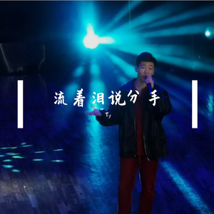 流着泪说分手(cover 孟子坤）（翻自 孟子坤）