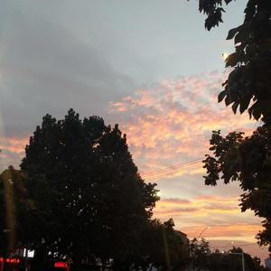 孤单心事(喝咖啡的猫)