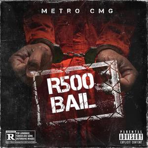 R500 Bail