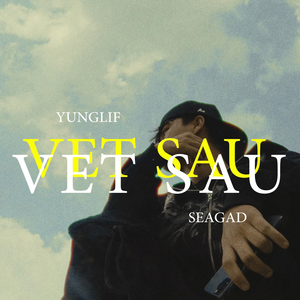 Vệt Sâu