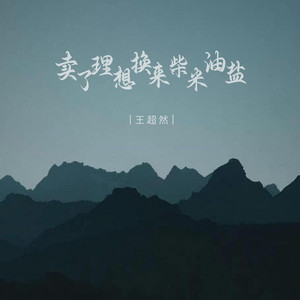 卖了理想换来柴米油盐 (DJ默涵版伴奏)