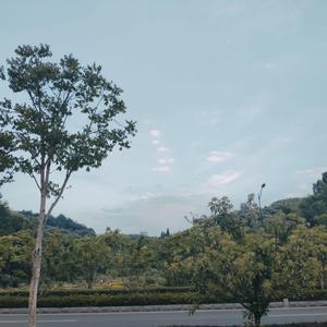 小宇