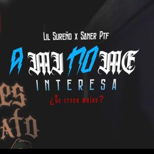 Ami No Me Interesa (feat. Saner Ptf)