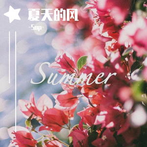 夏天的风 （钢琴弹唱版）(Cover：温岚)