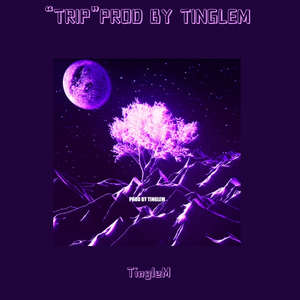 【FREE】“TRIP”PROD BY TINGLEM